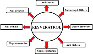 Effects of testosterone supplementation