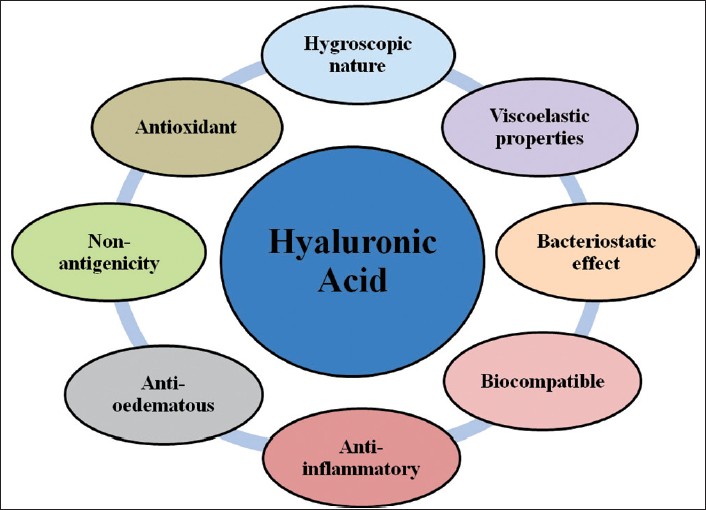 Сыромоноедение Hyaluronic Acid Foods Сыромоноедение