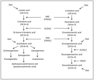 Effects on Glycemic Controls Following an Omega-3 Polyunsaturated Fatty Acids (PUFA) Supplementation