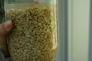 Antioxidant-Rich Oats Could Be the Next Anti-Inflammatory Superfood