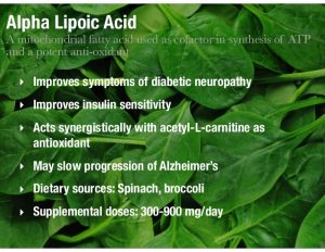 Alpha Lipoic Acid: A True Anti-Oxidant!