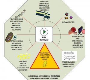 Alzheimer Disease and Metabolism: Role of Cholesterol and Membrane Fluidity